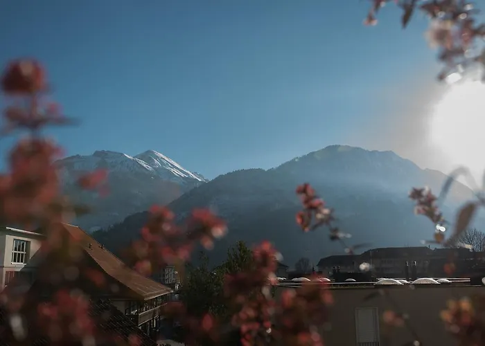 Bed & Bar No.8 - Adults Only Interlaken